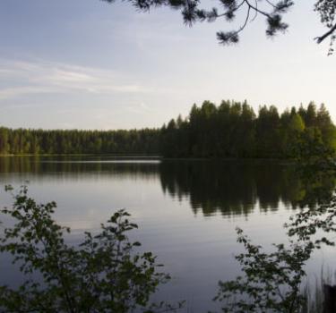 Kesä 2021